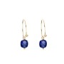 Anas gold plate earrings - Pomme Cannelle
