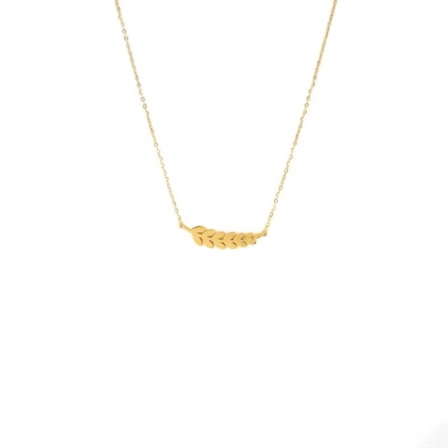 Ears gold necklace - Zag...