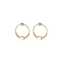 Circle stone earrings white steel gold - Zag Bijoux