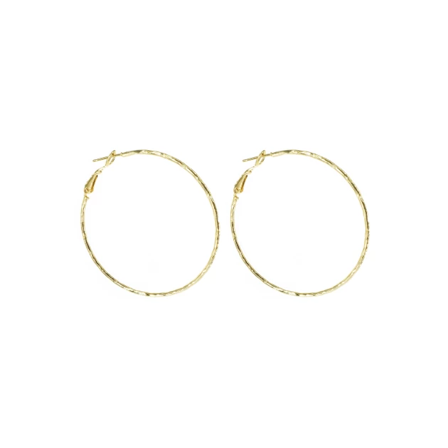 Faceted gold hoop earrings...