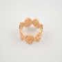 Gold plated crown ring - Pomme Cannelle