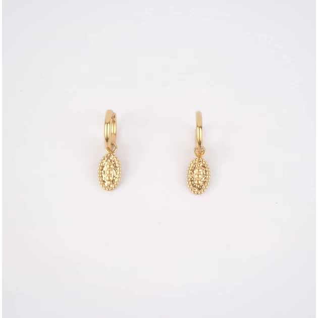 Izaline gold hoops earrings...