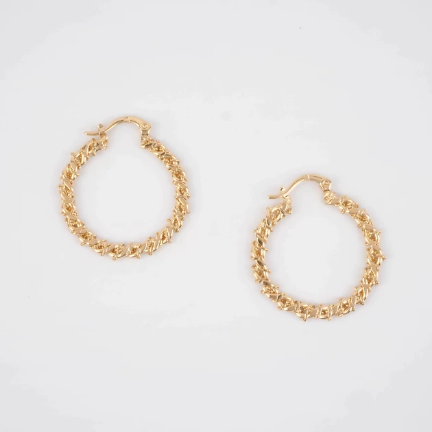 Elaura gold hoops earrings...