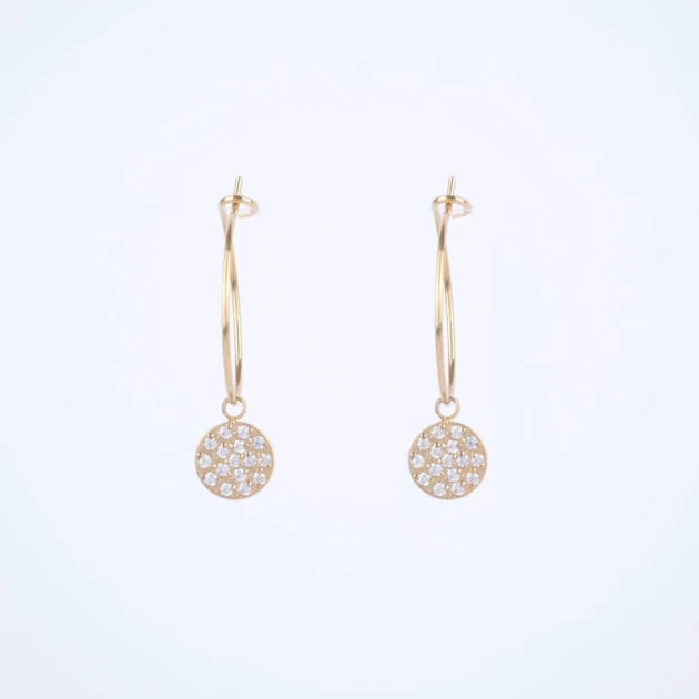 Light gold hoop earrings -...