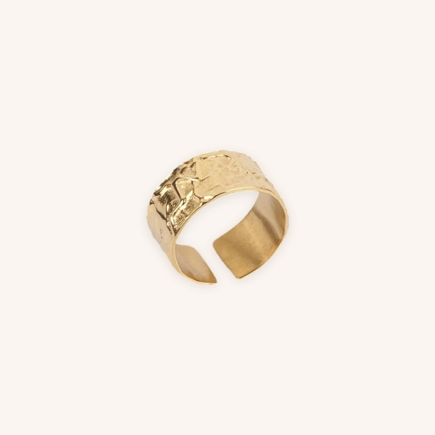 Bague Pompei en acier or jaune - Zag Bijoux