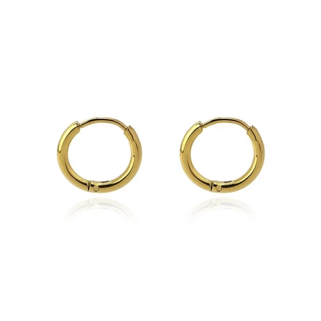 Paris M gold hoop earrings...